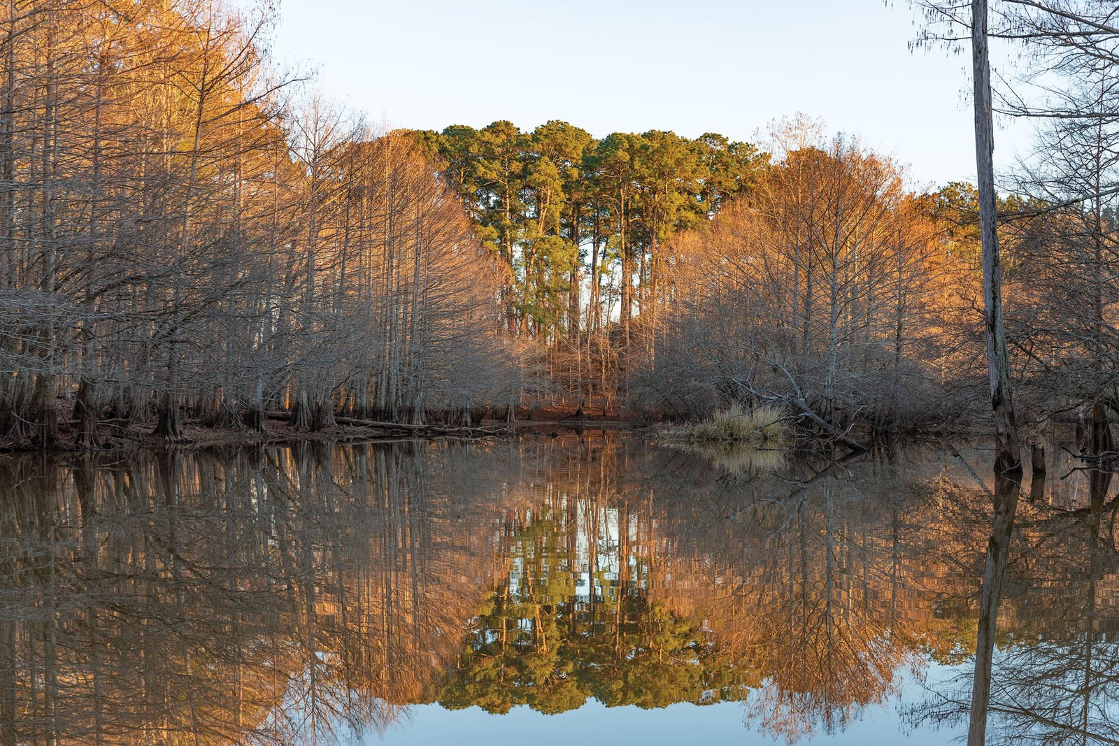 Explore Toledo Bend Reservoir